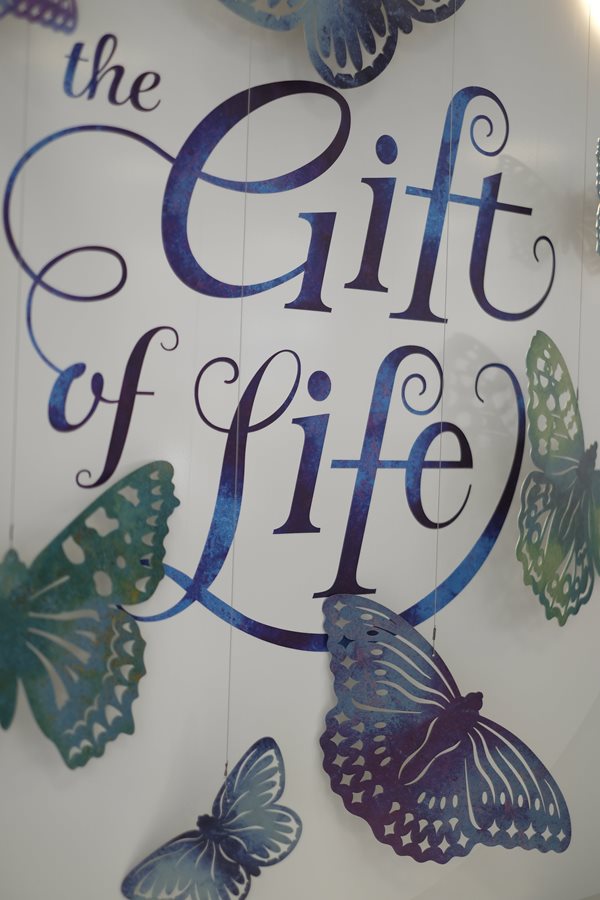 THE GIFT OF LIFE - 'A KALEIDOSCOPE OF BUTTERFLIES'