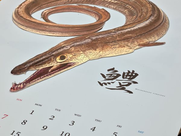 JAPANESE FISHES CALENDAR